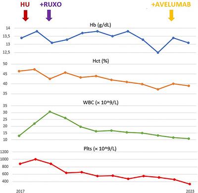 Case Report: Avelumab and ruxolitinib to manage polycythemia vera and secondary metastatic Merkel cell carcinoma: a possible successful combination